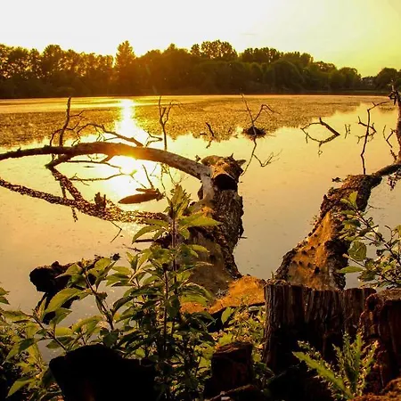 Auf Der Blumenstrasse *