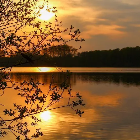 Auf Der Blumenstrasse Nettetal