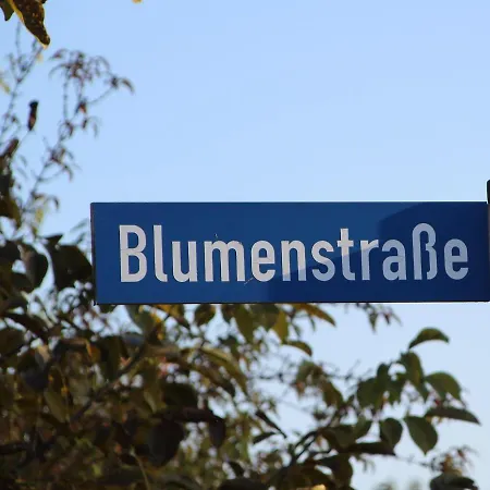 Apartment Auf Der Blumenstrasse
