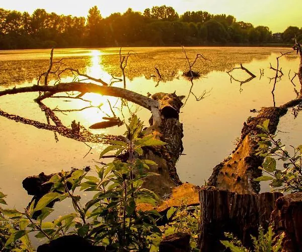 Auf Der Blumenstrasse *