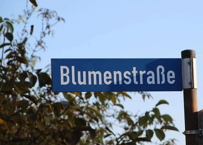 Appartement Auf Der Blumenstrasse